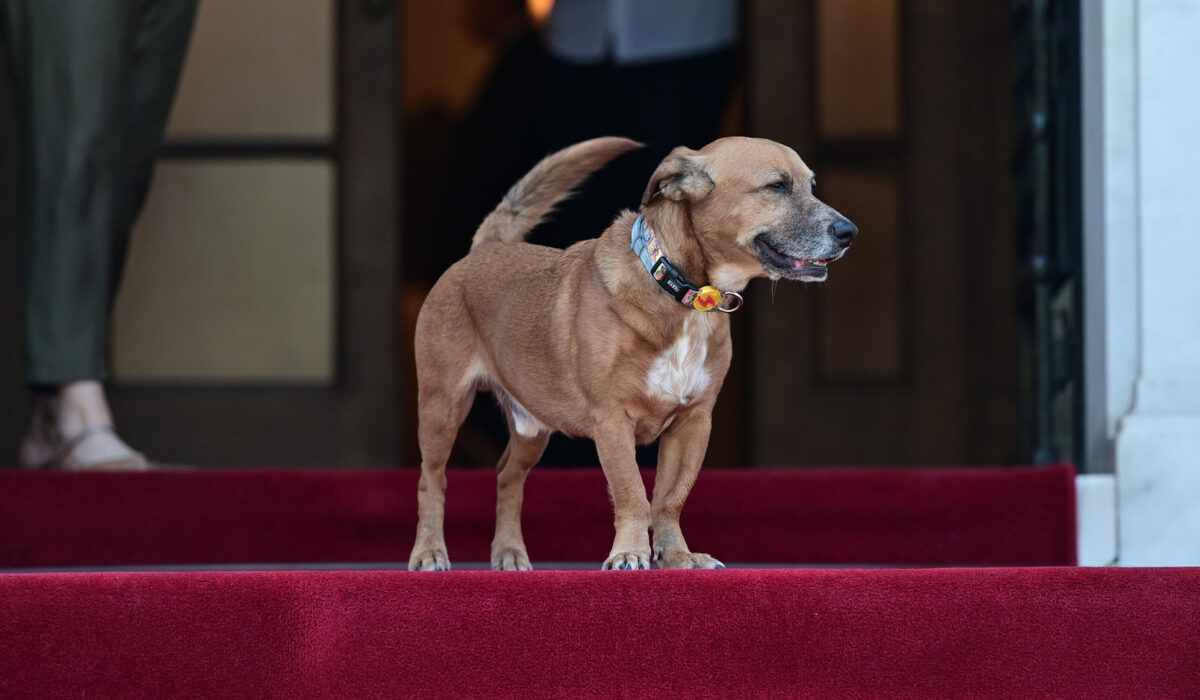 Featured Image of Τι γνωρίζει (πολύ καλά) ο Πίνατ με όσα λέγονται στο Μαξίμου… post